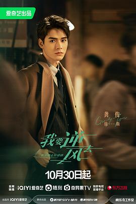 技术好的seo推广定制