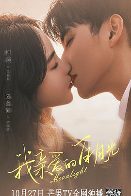 浙江综合网站优化价格